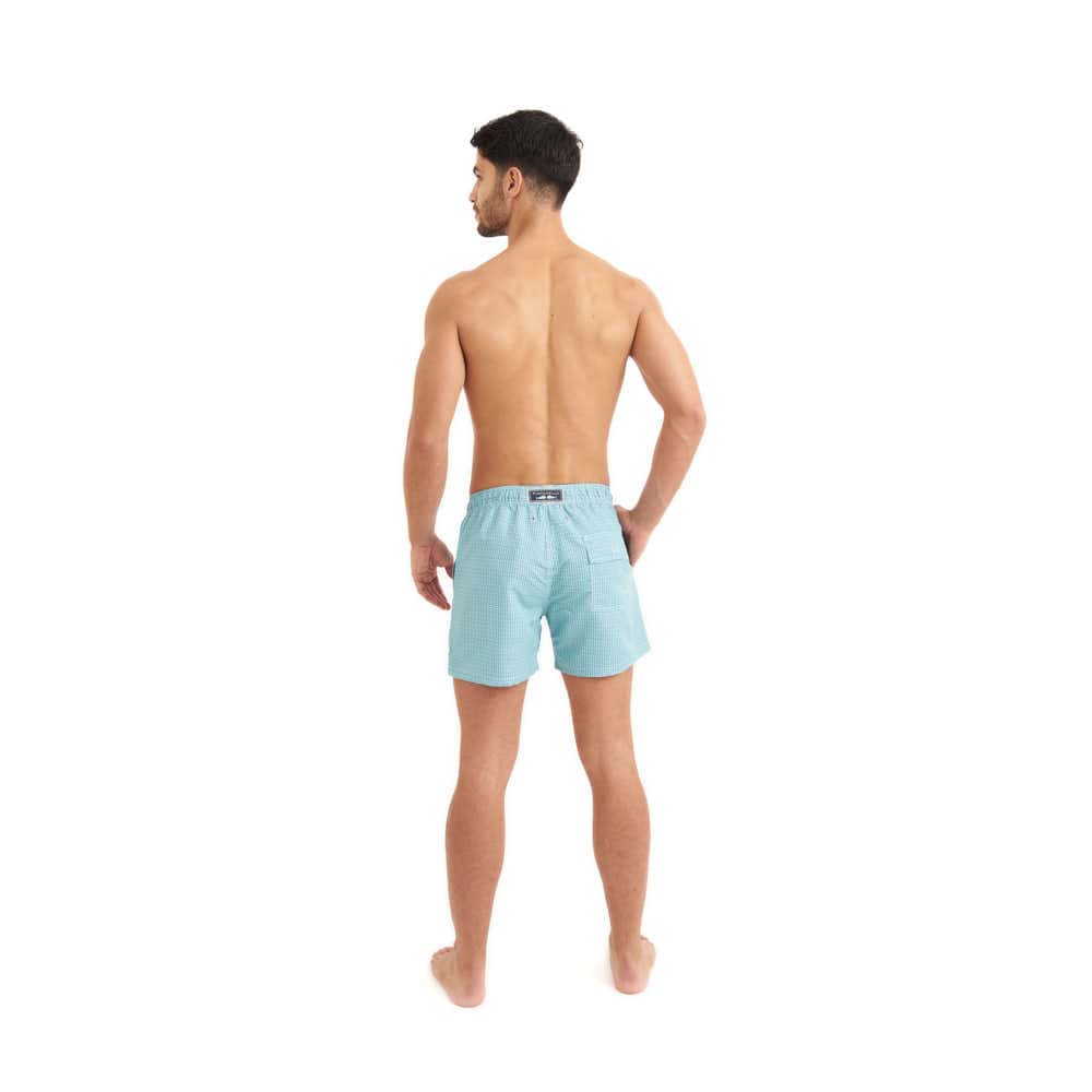 Mint Fly Men's Swimsuit Model