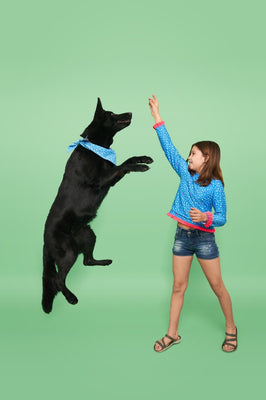 Pet Bandana Color Frogs Model image 2