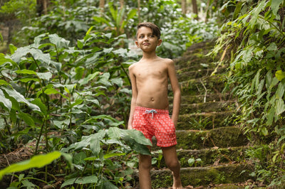 Traje De Baño Niño Sea Horse image 4